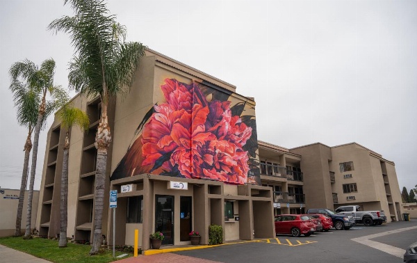 Hotel Milagro image 1